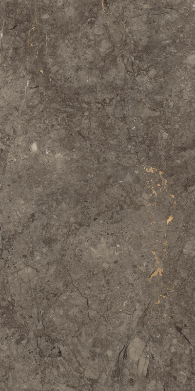 Grey Willium Egloss